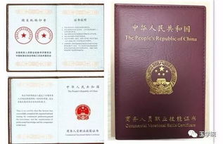 国家技能彩色玉石鉴定评估师（CJE中级）克拉玛依开班 推动收藏品鉴定评估服务专业化发展